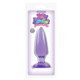 Фиолетовая средняя анальная пробка Jelly Rancher Pleasure Plug Medium - 12,7 см.